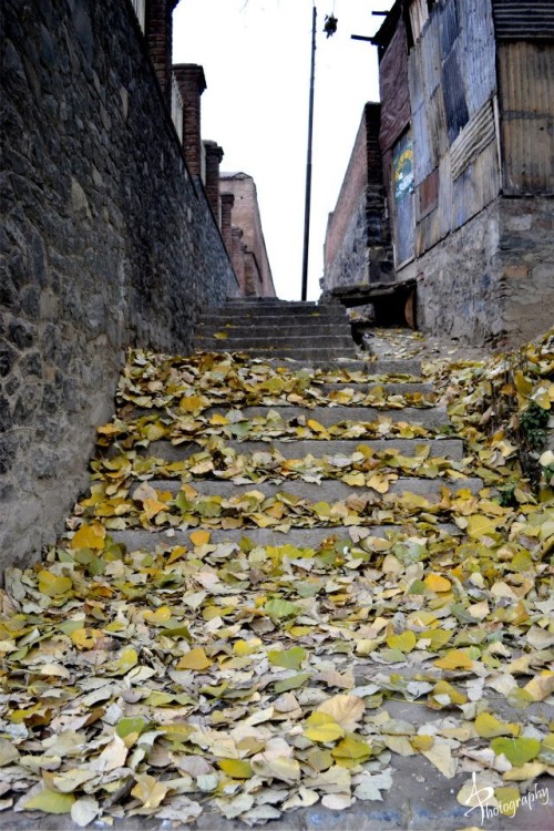 fallen leaves on the steps of an alley in Srinagar kashmir in Autumn