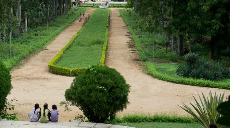 Osmania University Botanical Garden