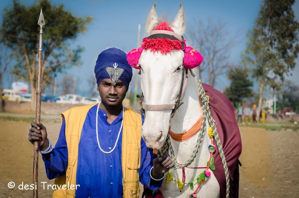 A young nihang with horse