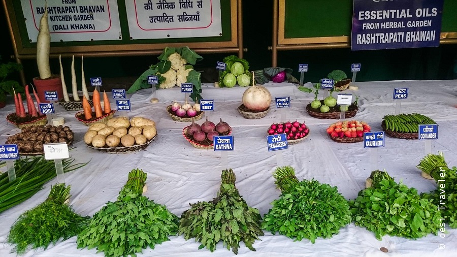 Mughal Gardens organic vegetables 
