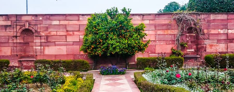 Mughal Gardens Delhi (27)