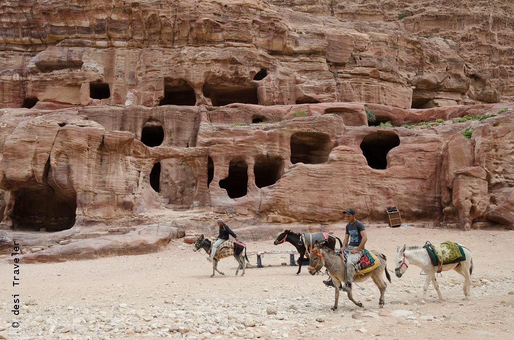 Donkey Bedouin Petra Jordan 