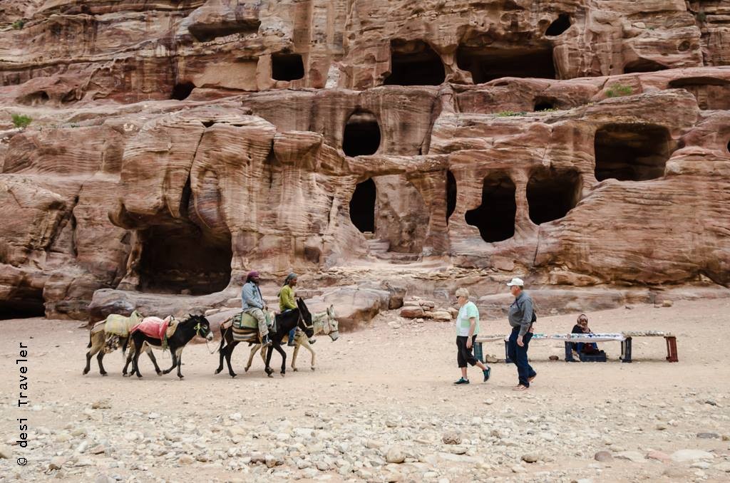 Donkey Bedouin Petra Jordan 