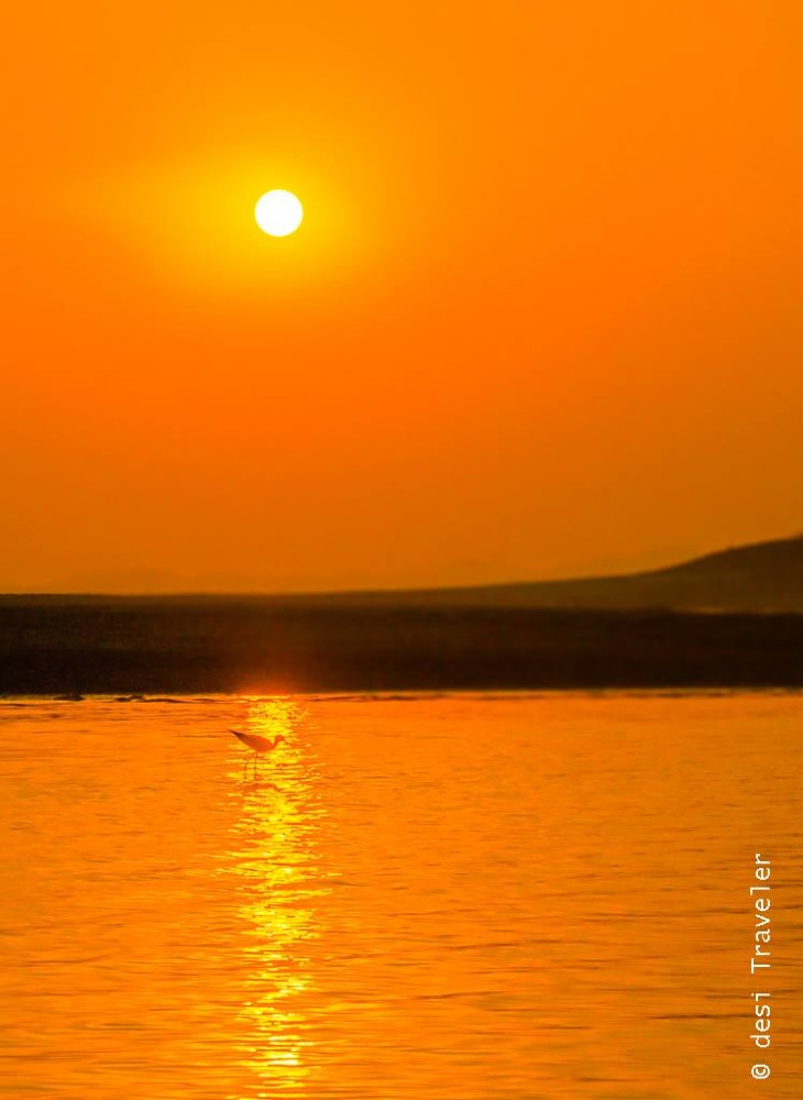 Satpura National Park Sunset Silhouette