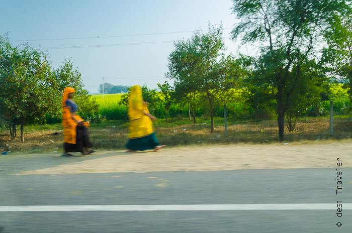 Women of Rajasthan in colorful dress 
