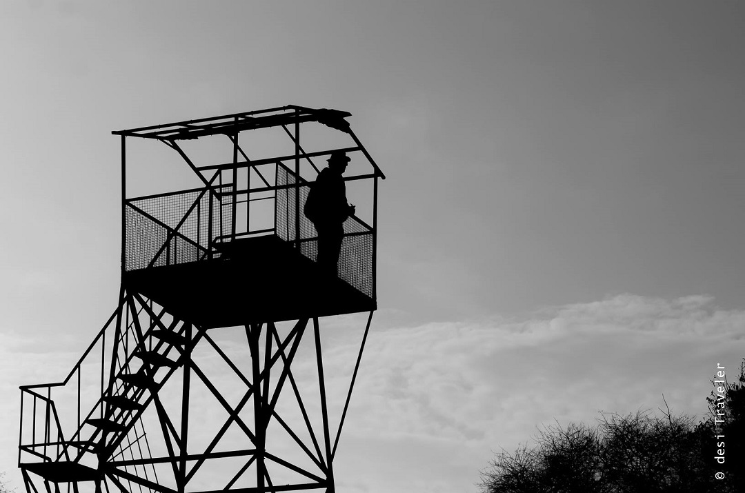  Bird watch tower Sultanpur National Park Gurgaon