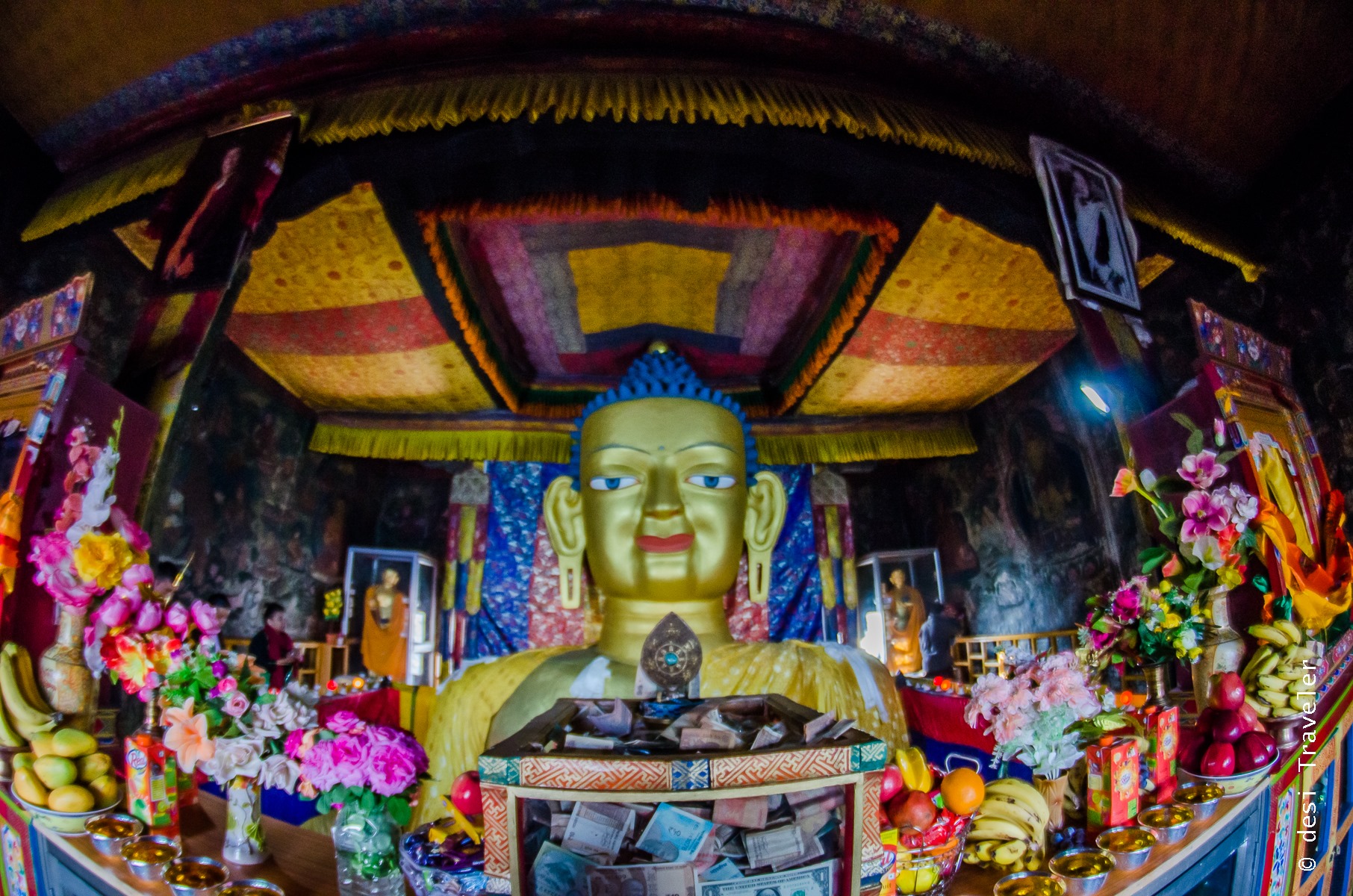 Tall Buddha Statue Shey Monastery Ladakh