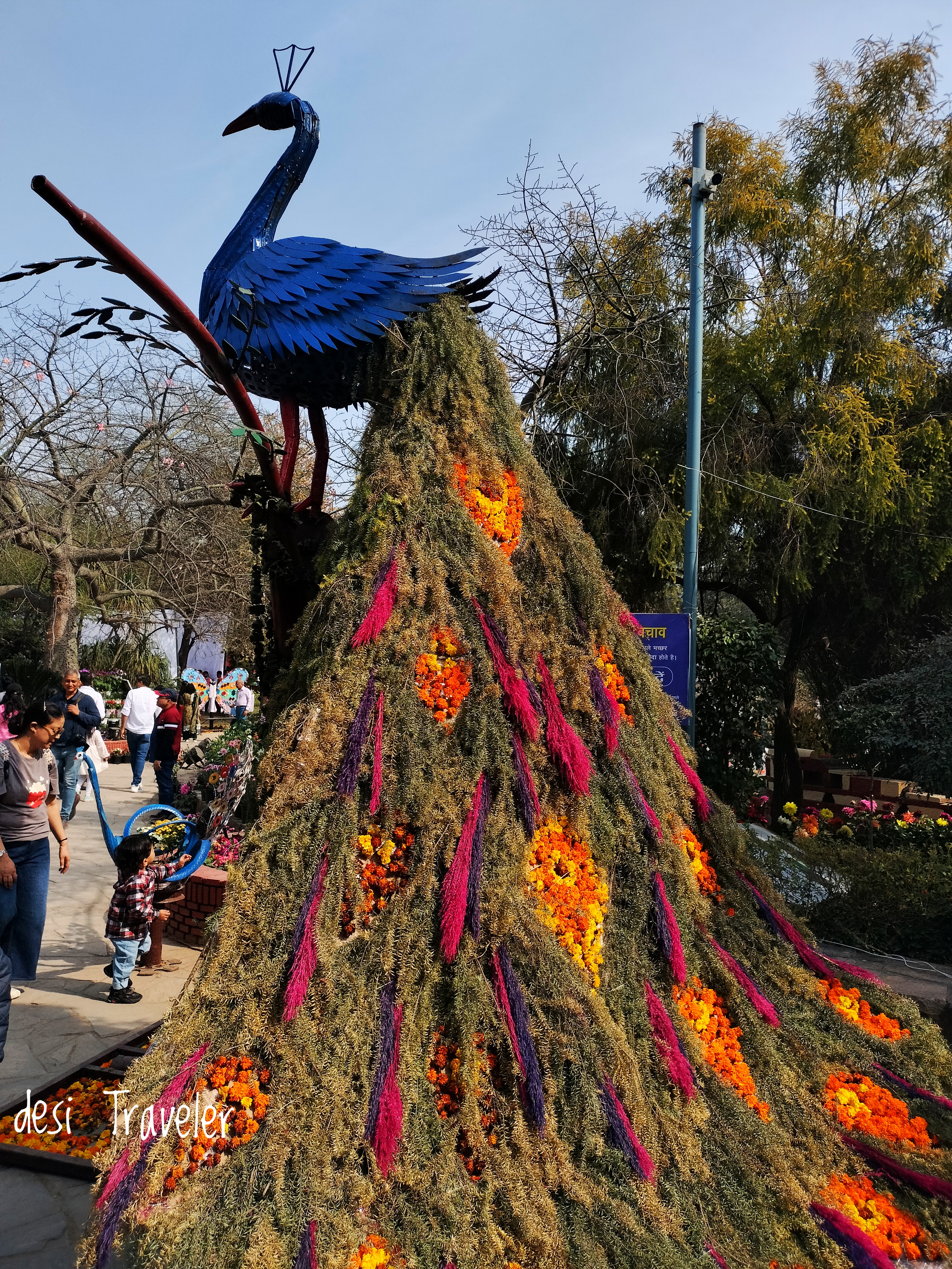 Peacock Topiary