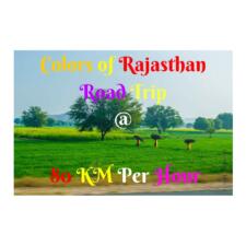 Pictures From Rajasthan Road Trip AT 80 KM Per Hour