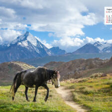August 2018 Calendar Wallpaper - A Horse Near Chandratal Spiti