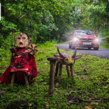 February 2017 Desktop Calendar - Jungle Goddess Of Chikmagalur Forest