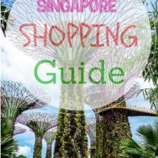A Traveler's Guide to Shopping In Singapore
