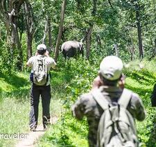 Anti Poaching Camp - Patrolling Bandipur National Park