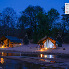 Free Download August 2019 Wallpaper Calendar - A Night Camp Satpura National Park