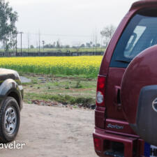 A Drive With SOUL: Rediscovering Passions