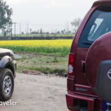 A Drive With SOUL: Rediscovering Passions