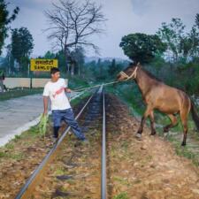 Man and Mule- Stories from Kangra Valley Railway