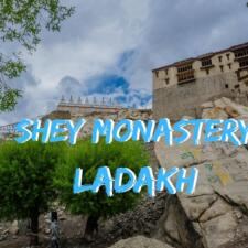 A Visit To Shey Monastery Ladakh