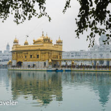 Ber : A fruit with Mythological Signficance