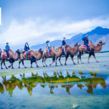 June 2017 Calendar Download Desktop Wallpaper Double Humped Bactrian Camels