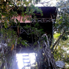 A Tree House in Wayanad Kerala- Hotel Review