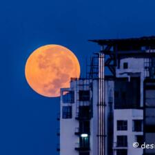 Pictures of Super Blood Moon