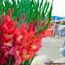 Gudimalkapur Flower Market Hyderabad
