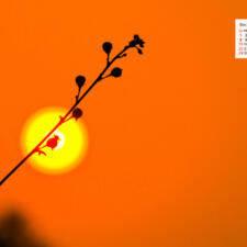 Free Download December 2019 desi Traveler Wallpaper Calendar - Sunset Aravali Biodiversity Park