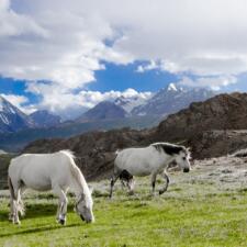 My First Travel Podcast With The Musafir Stories