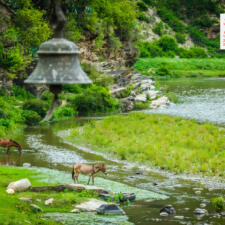 Free Download January 2019 desi Traveler Wallpaper Calendar