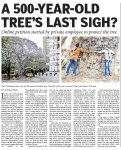 The Old Baobab Tree In News