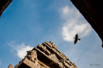 Guess The Famous Temple In India - Quizz for Skywatch