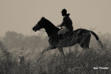 No Country for Wild Horses- Only Wild Men